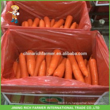 Новый свежий морковь по конкурентоспособной цене